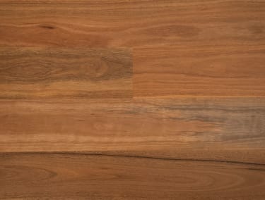 Australian Spotted Gum 136